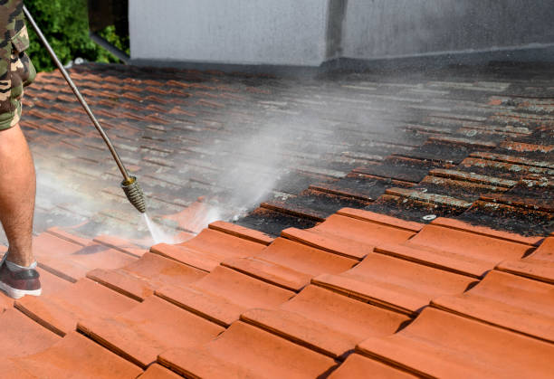 Best Garage Pressure Washing  in Springdale, PA